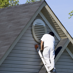 About Our Holland Painting Company
